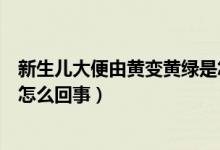 新生兒大便由黃變黃綠是怎么回事（新生兒拉屎費勁臉通紅怎么回事）