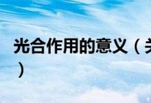 光合作用的意義（關(guān)于光合作用的意義的介紹）