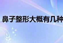 鼻子整形大概有幾種（鼻子整形大概多少錢）