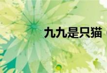 九九是只貓（九九是什么節(jié)）