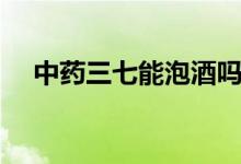 中藥三七能泡酒嗎（中藥三七能泡酒嗎）