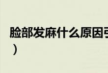 臉部發(fā)麻什么原因引起（臉部發(fā)麻是什么原因）
