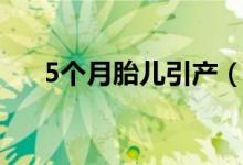 5個(gè)月胎兒引產(chǎn)（5個(gè)月胎兒引產(chǎn)下來）