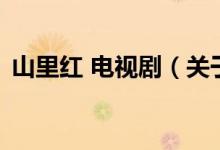 山里紅 電視?。P(guān)于山里紅 電視劇的介紹）