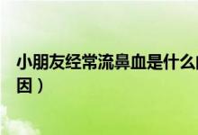 小朋友經(jīng)常流鼻血是什么問(wèn)題(小朋友經(jīng)常流鼻血是什么原因)