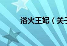 浴火王妃（關(guān)于浴火王妃的介紹）