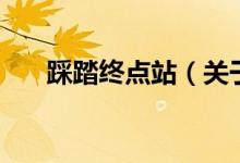 踩踏終點站（關于踩踏終點站的介紹）