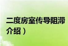二度房室傳導(dǎo)阻滯（關(guān)于二度房室傳導(dǎo)阻滯的介紹）