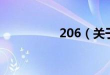 206（關(guān)于206的介紹）