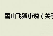 雪山飛狐小說（關于雪山飛狐小說的介紹）