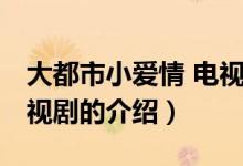 大都市小愛(ài)情 電視劇（關(guān)于大都市小愛(ài)情 電視劇的介紹）