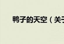 鴨子的天空（關(guān)于鴨子的天空的介紹）