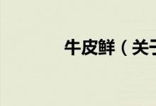 牛皮鮮（關(guān)于牛皮鮮的介紹）
