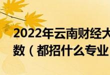 2022年云南財(cái)經(jīng)大學(xué)各省招生計(jì)劃及招生人數(shù)（都招什么專業(yè)）
