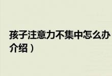 孩子注意力不集中怎么辦（關(guān)于孩子注意力不集中怎么辦的介紹）