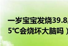 一歲寶寶發(fā)燒39.8度會(huì)燒壞大腦嗎（發(fā)燒39.5℃會(huì)燒壞大腦嗎）