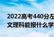 2022高考440分左右能上哪些大學(xué)（新高考文理科能報什么學(xué)校）