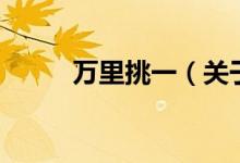萬里挑一（關于萬里挑一的介紹）