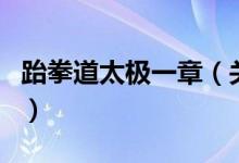 跆拳道太極一章（關(guān)于跆拳道太極一章的介紹）