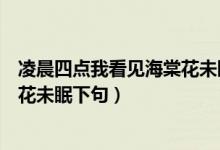 凌晨四點(diǎn)我看見海棠花未眠的下句（凌晨四點(diǎn)鐘我看見海棠花未眠下句）