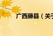 廣西藤縣（關于廣西藤縣的介紹）