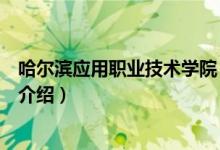 哈爾濱應(yīng)用職業(yè)技術(shù)學院（關(guān)于哈爾濱應(yīng)用職業(yè)技術(shù)學院的介紹）