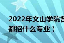 2022年文山學院各省招生計劃及招生人數(shù)（都招什么專業(yè)）