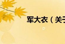 軍大衣（關于軍大衣的介紹）