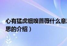 心有猛虎細(xì)嗅薔薇什么意思（關(guān)于心有猛虎細(xì)嗅薔薇什么意思的介紹）