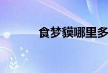 食夢貘哪里多（具體資料介紹）