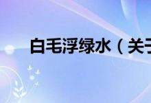 白毛浮綠水（關(guān)于白毛浮綠水的介紹）