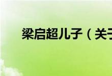 梁啟超兒子（關于梁啟超兒子的介紹）