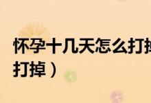 懷孕十幾天怎么打掉最安全（懷孕十幾天怎么打掉）