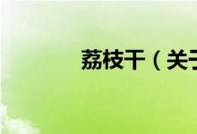 荔枝干（關(guān)于荔枝干的介紹）