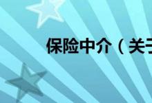 保險中介（關(guān)于保險中介的介紹）