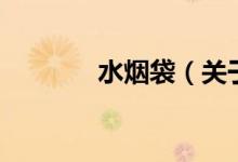 水煙袋（關于水煙袋的介紹）