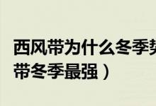 西風帶為什么冬季勢力比夏季強（為什么西風帶冬季最強）