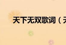 天下無雙歌詞（天下無雙歌詞是什么）