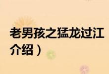 老男孩之猛龍過江（關(guān)于老男孩之猛龍過江的介紹）