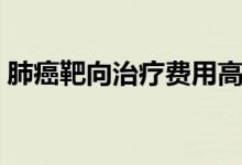 肺癌靶向治療費(fèi)用高嗎（肺癌靶向治療費(fèi)用）