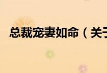 總裁寵妻如命（關(guān)于總裁寵妻如命的介紹）