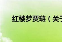 紅樓夢賈璉（關(guān)于紅樓夢賈璉的介紹）