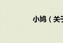 小鳩（關于小鳩的介紹）