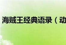 海賊王經(jīng)典語錄（動畫片海賊王的經(jīng)典句子）