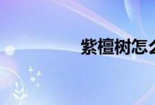 紫檀樹怎么養(yǎng)(長得快)