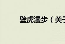 壁虎漫步（關(guān)于壁虎漫步的介紹）