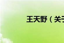王天野（關(guān)于王天野的介紹）
