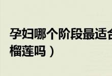 孕婦哪個階段最適合吃榴蓮（懷孕初期可以吃榴蓮嗎）