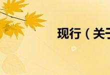 現(xiàn)行（關(guān)于現(xiàn)行的介紹）