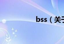bss（關于bss的介紹）